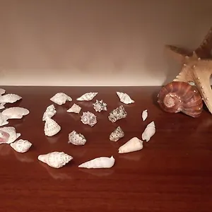 Casa Lo Scoglio Della Ballerina Appartamento